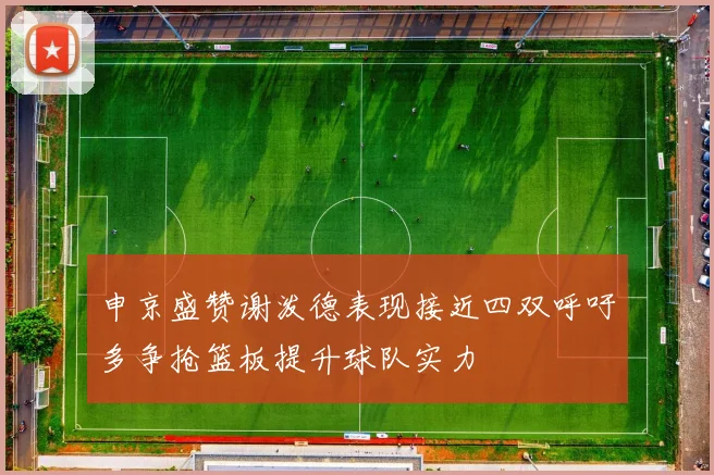 申京盛赞谢泼德表现接近四双呼吁多争抢篮板提升球队实力