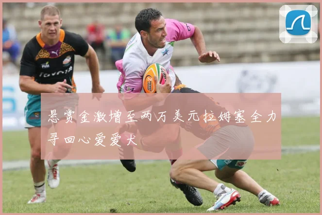 悬赏金激增至两万美元拉姆塞全力寻回心爱爱犬