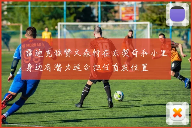 雷迪克称赞文森特在东契奇和小里身边有潜力适合担任首发位置